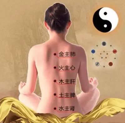 中医养生三部曲之二--养生要重视脏腑平衡